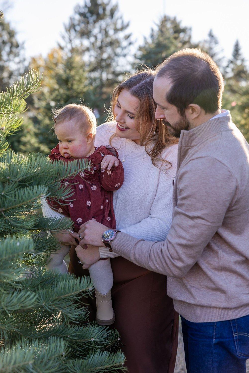 carousel-hero-element image-2