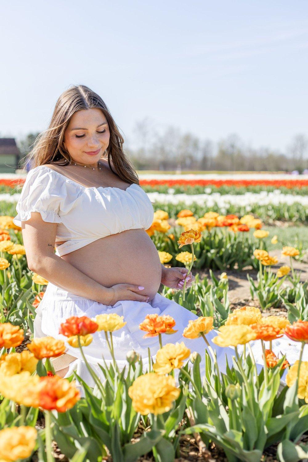 carousel-hero-element image-3