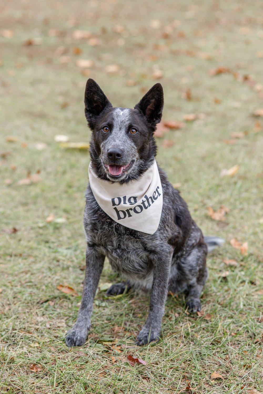 carousel-hero-element image-3